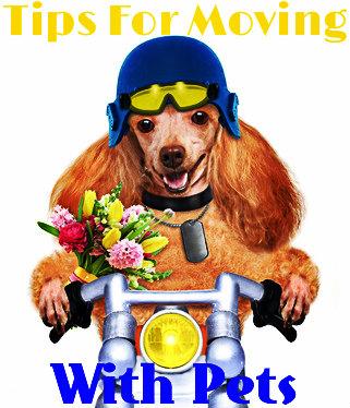 all_home_plans's tweet image. #TipsForMoving With #Pets buff.ly/1yYxmEb #realestate via @massrealty