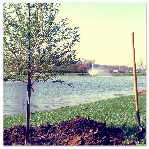 Hess Express tweet media