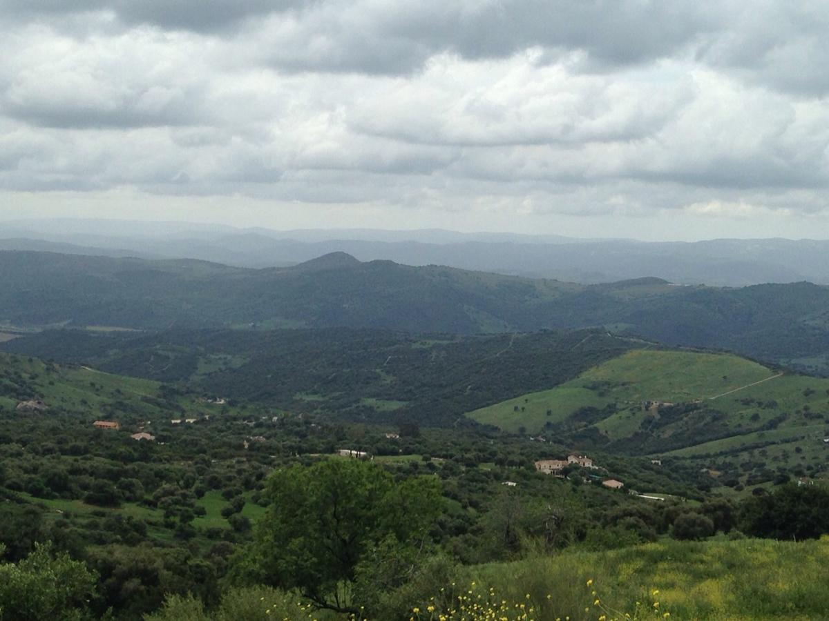 RoamersSeekers's tweet photo. Is this @thereaIbanksy piece spotted in the Andalusian mountain ranges? #Banksy #Banksystyle http://t.co/qXpudyE3RI http://t.co/qLtxFpTNsp