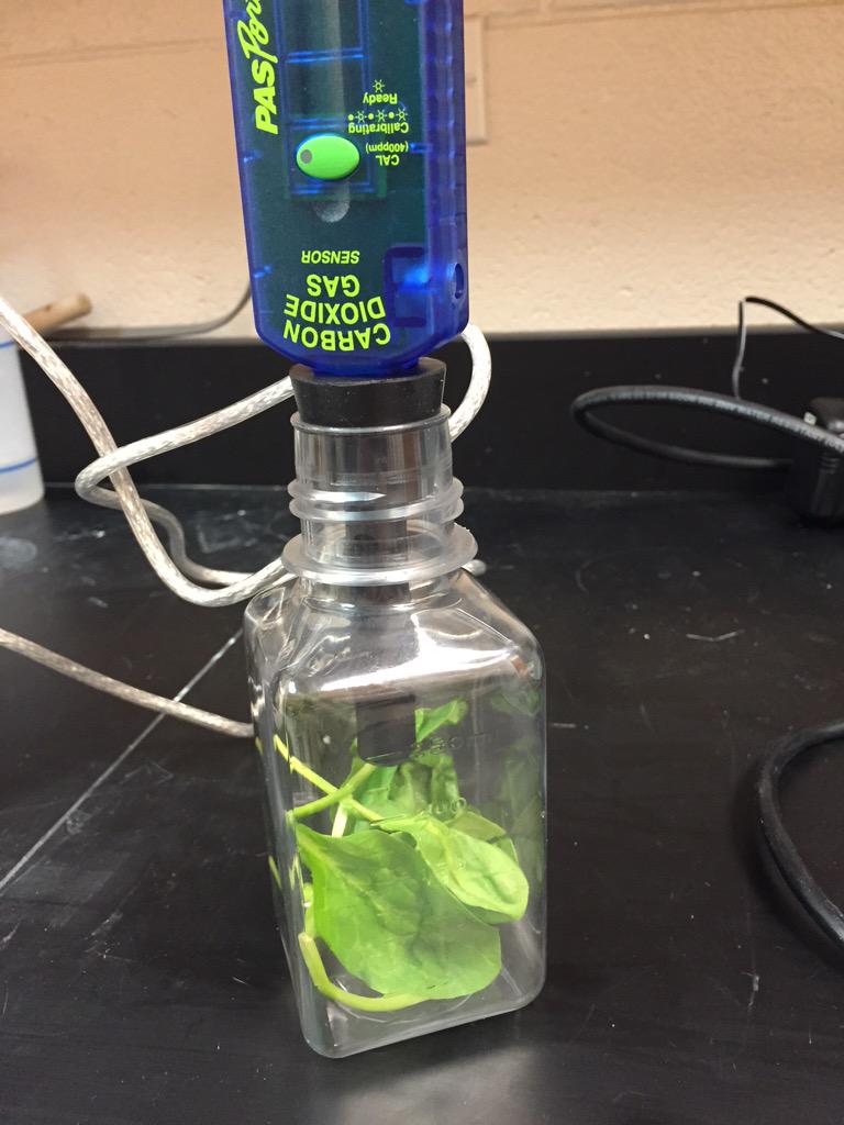 ProsiseBio's tweet photo. Collecting lab data using sensors that plug into student Chrome books #D128LivingtheMission #d128Teach #VHHSDLS http://t.co/W9ciX3LCvK