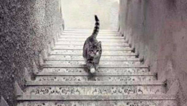 Lluis_Serra's tweet photo. Sube o baja? http://t.co/X9JXYV97Jc