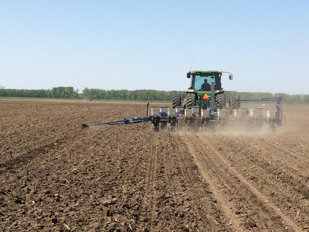 David Wolfe tweet media