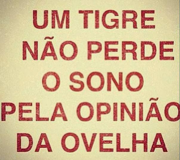 IMPERIOMC_TBR tweet media