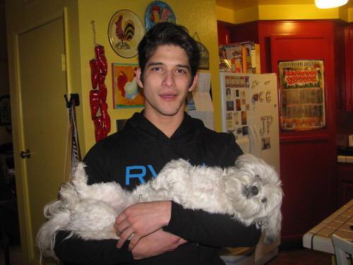 StydiaEurope's tweet photo. Omg! He's such a cutie! 😀☺️🐕🐶🐩 http://t.co/CvIwcyi7bf