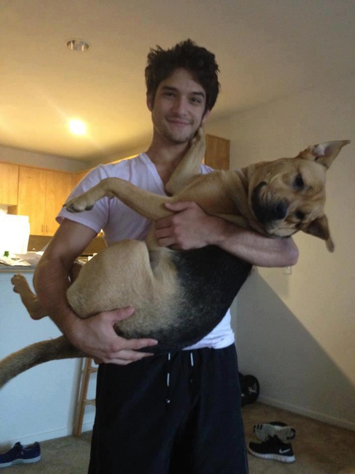 StydiaEurope's tweet photo. Omg! He's such a cutie! 😀☺️🐕🐶🐩 http://t.co/CvIwcyi7bf