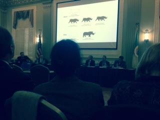 “Rhinos are the canary in the goldmine,” Dr. Patrick Bergin, AWF President #rhino #poaching #wildlifetrade