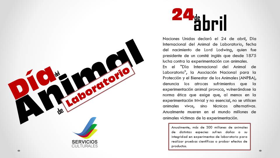 Servicios Culturales (@servculturales) on Twitter photo 