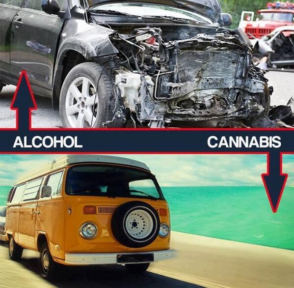 lets_legalizeit's tweet photo. #LegalizeIt http://t.co/iHtXlsuR03