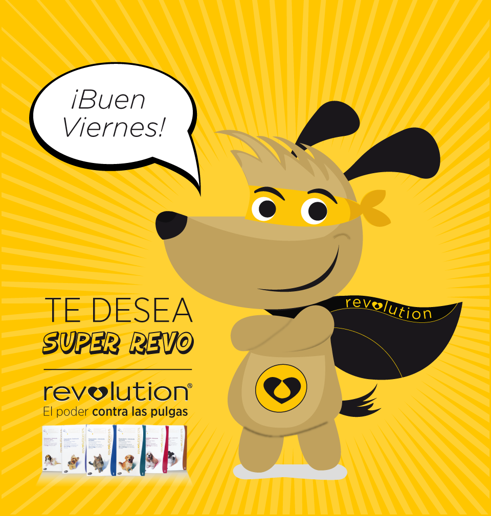 Revolutionarg's tweet photo. #SuperRevo te desea un muy buen viernes!! #Revolution #AntiPulgas http://t.co/x7pBvG0Stg