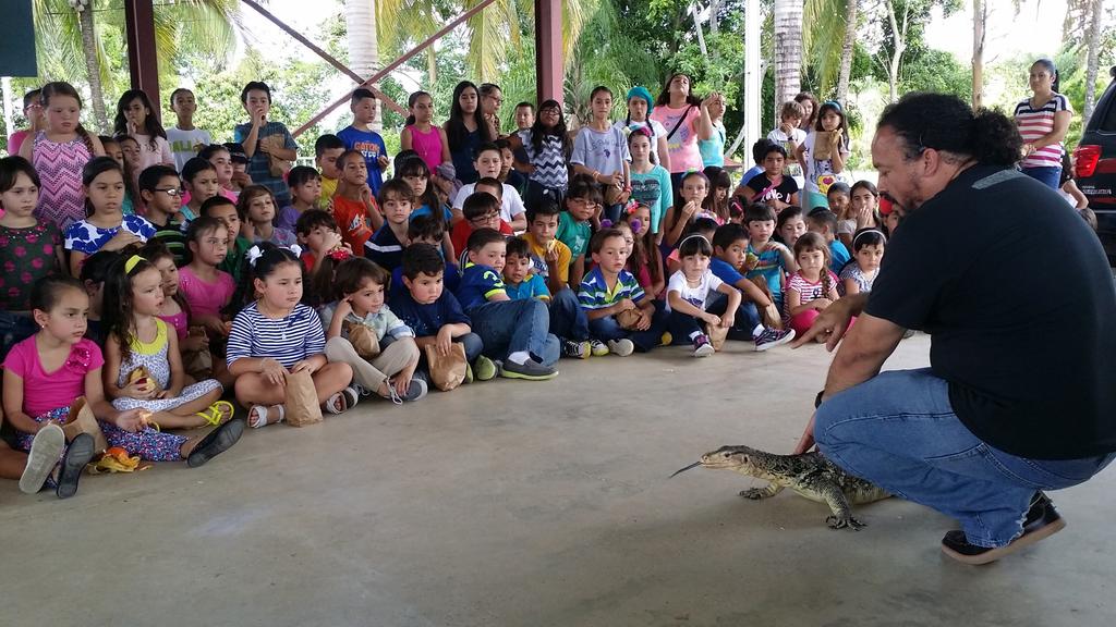 Puerto Rico Reptiles (@prreptiles) on Twitter photo 