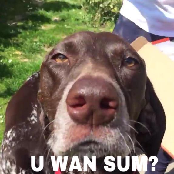 BuxtonArmy's tweet photo. Rude @joe_weller_ http://t.co/gVFYPvEbrk