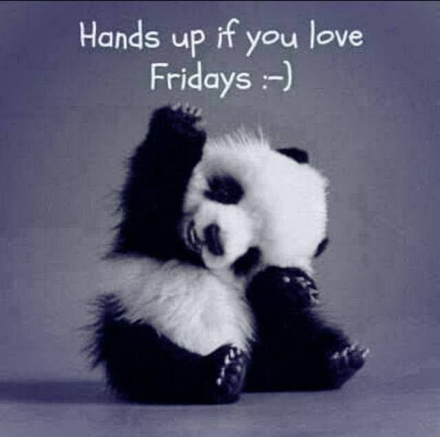 tdotsm's tweet photo. Happy Friday! #friday #itstheweekend #Weekend #HappyFriday #ENJOY #PandaLove #isitspringyet #SPRING #sunshine #relax http://t.co/SMVV1I4nDy