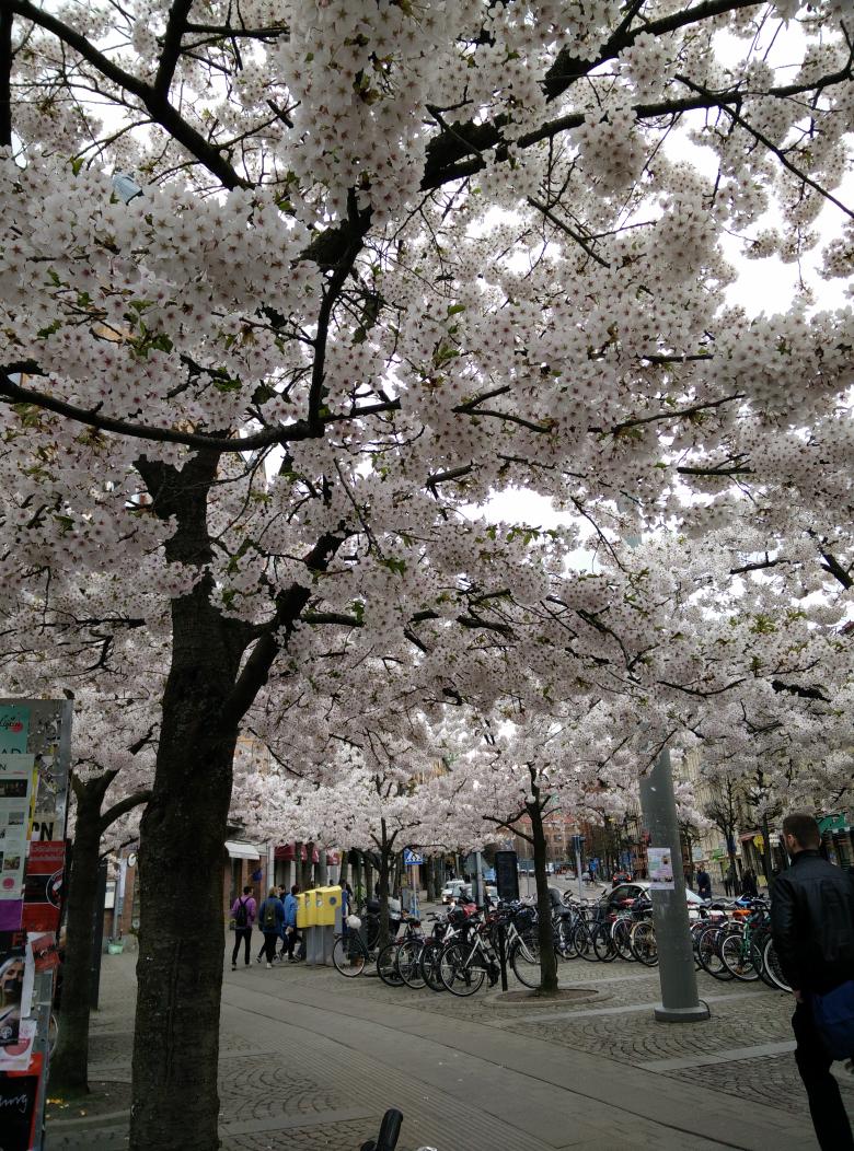 modelmisspolli's tweet photo. Spring is making magic! http://t.co/a6InalRnqT