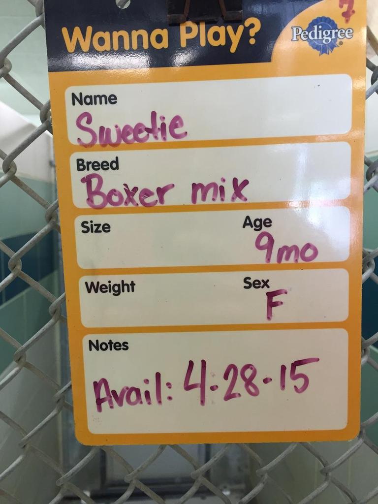 HUGE thank you to everyone who made #BarkFest15 a success! Here's the adoptable cuties' info from the Athens shelter