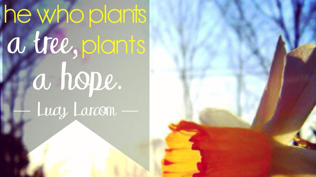 Nature_Bars's tweet photo. Happy #ArborDay y'all! 🌳 #delicious #food from #nature at http://t.co/xdwtkaMjoU http://t.co/1Tn0OUk8E9