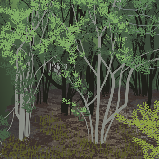 AoDiscovery's tweet image. Happy #ArborDay! Learn about trees near you playing #AgentsofNature in participating parks!