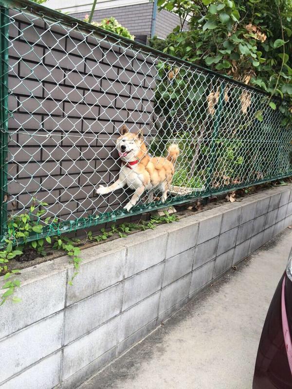 when u in a bad place but ur keeping a positive outlook