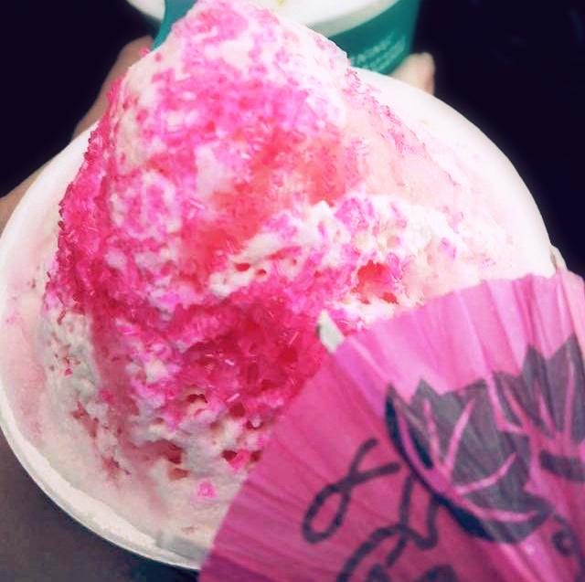 Bahama Buck S On Twitter Our Princess Sno Is A Magical Combo Of Bippity Bioptic And Boo Just Ask Jdjaynes Http T Co Pmyzovczrx Twitter