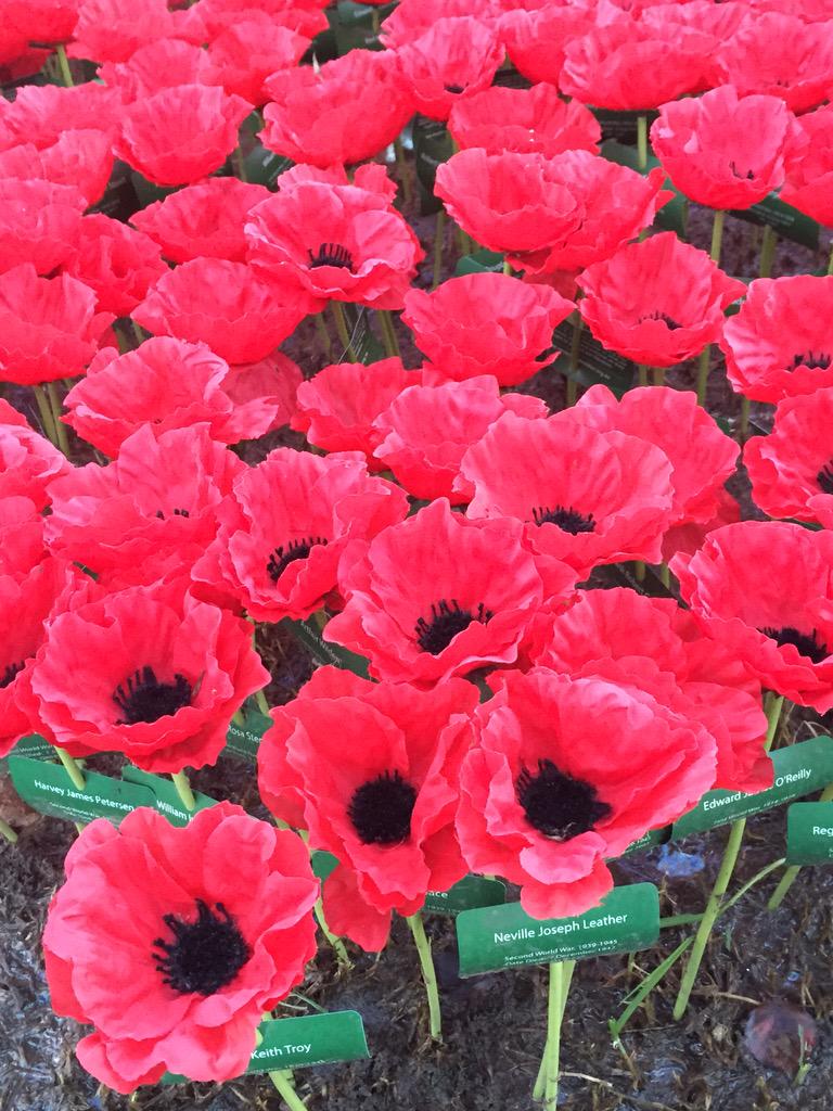 Anzac Day dawn service #poppypark