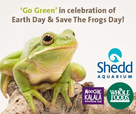 Shedd Aquarium tweet media