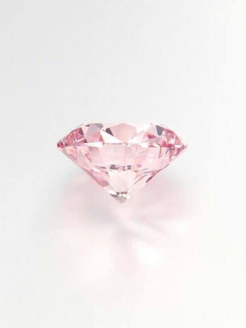 Vladimir de BERTREN tweet media