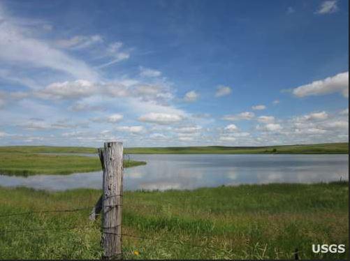 USGS's tweet image. May is American Wetlands Month. #Wetlands are important for wildlife and ourselves! on.doi.gov/1m2XCnx