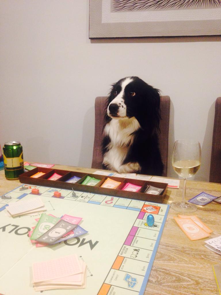 animalinyou's tweet photo. He has no idea what he's doing. http://t.co/rBxPBkHpJh