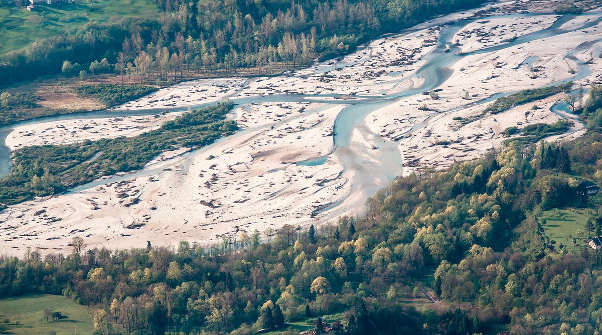 CIRFcommunity's tweet photo. La clorofilla negli #alberi lungo il #fiume a primavera è come il #fremito del primo bacio (foto B.Boz) http://t.co/iXI4Q4B2oU
