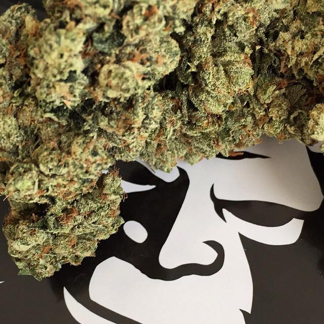 yetifarms's tweet photo. Humboldt Made OverLordOG!!!!โฝ๏ธ๐โฝ๏ธ๐ #LoompaFarms #LoompaGear #Humboldt #OverLordOG #Kush #Lโฆ http://t.co/TFtfkTSOvx http://t.co/gESpVaMs8A