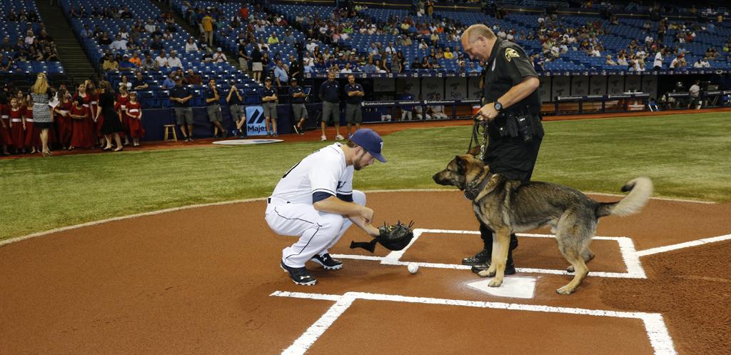 Cut4's tweet photo. This K-9 that was bitten by a rattlesnake "threw" out the first pitch at @RaysBaseball game: http://t.co/x9WbS0uYNZ http://t.co/A4zdfYW87m