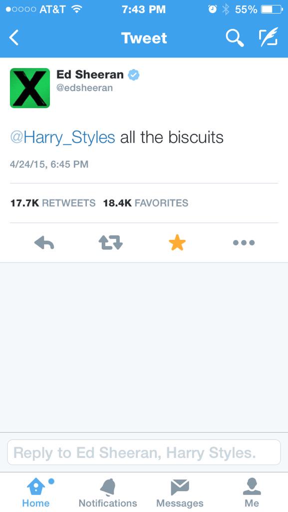 AudreyBurdick's tweet image. they get me ❤️ @edsheeran @Harry_Styles  #biscuts