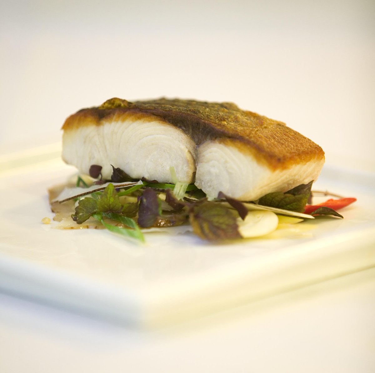 Celebrate #ANZAC Day with a showcase of seafood including our delicious #barramundi! We’re open tonight from 6pm
