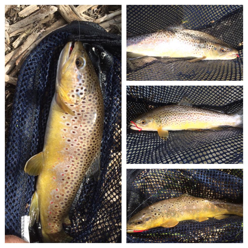 raisingnumbers's tweet image. Rain makes for good nymphing @FlyandFin @FishDrift @onadryfly @simmsfishing @TeamSantone @FlyFishFans