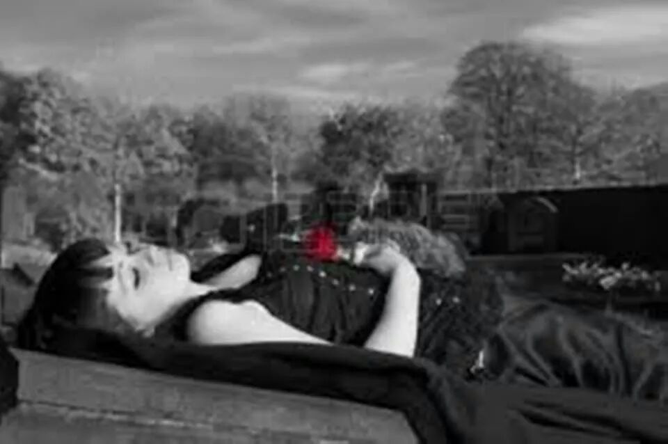 sheymb85's tweet photo. The beautiful dark princes kiss her again,and wake up whith your rose withered as his heart. http://t.co/QtpR3qRE8F
