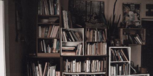 treecorpse's tweet image. goals + you