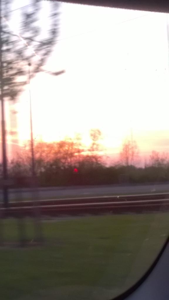 TamesideAS's tweet image. Better late than never #earthdayimages while out walking