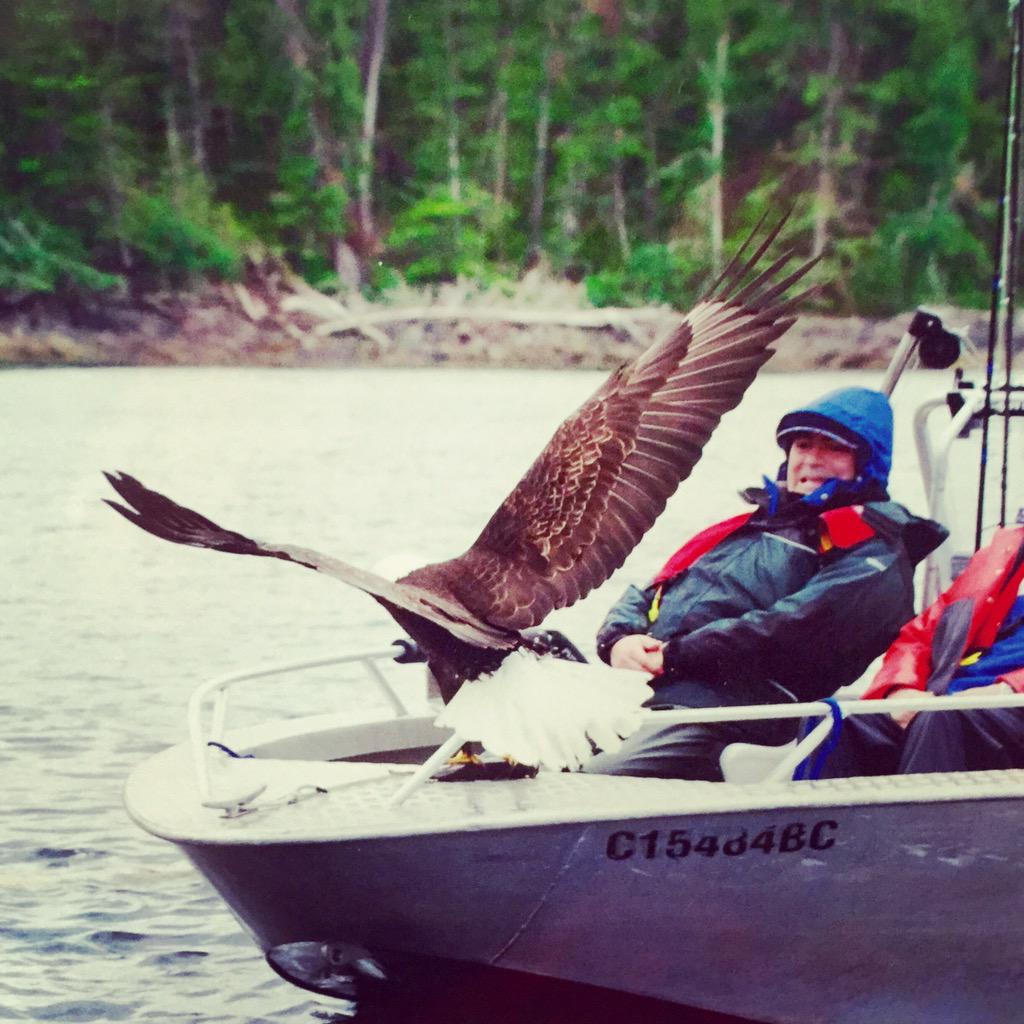 sinbintweeter's tweet photo. Even the Eagles want to fish from Westcoast Resorts boats  #englefieldbay http://t.co/Qp0bSyBRyq
