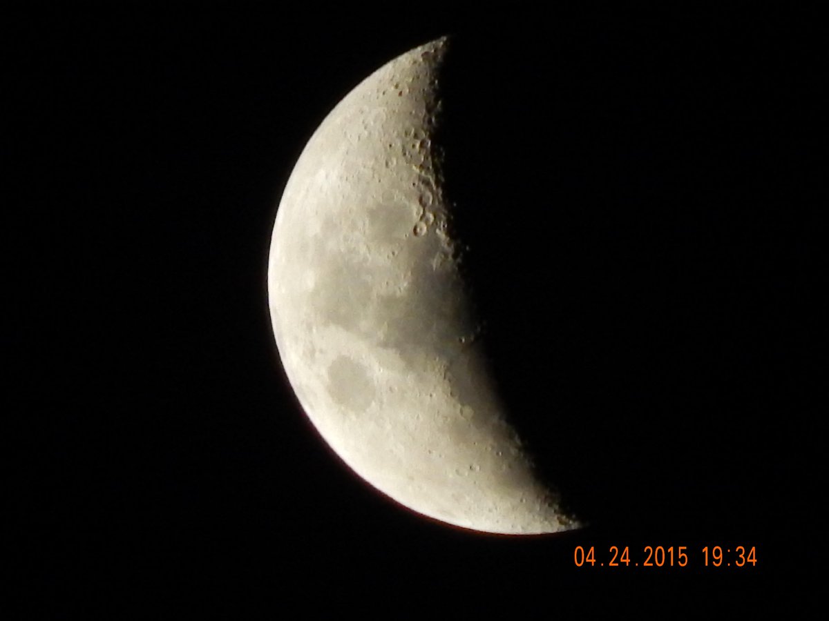 PPaolaM's tweet photo. #Luna #L830 #Nikon http://t.co/NUoIBoxVPn