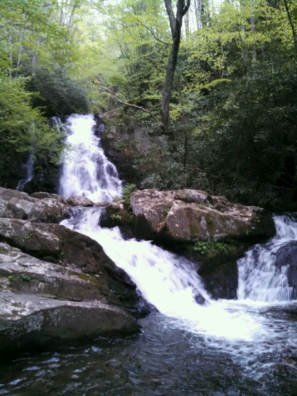 KristiRReynolds's tweet photo. @michaela_micco @esnapp17 I want to hike with you!! #spruceflatfalls #hikingrocks #gsmnp http://t.co/cb5Ed0AdbZ