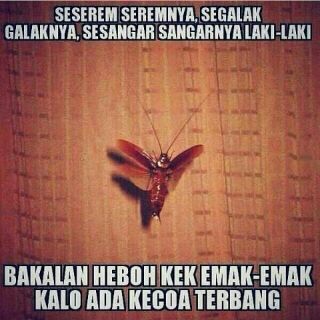 GambarBego's tweet photo. Inilah Cowok http://t.co/LVRLgDPAK5