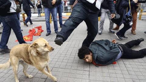 Marie Harf tweet media