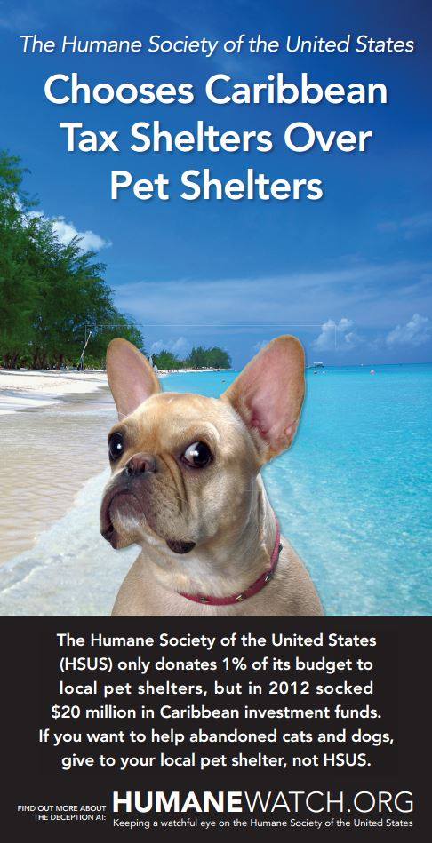 KatharineDokken's tweet photo. #HSUS Parked more money offshore than gave to animals. Stop the Animal rescue #HSUSscam #OperationWildfire http://t.co/eUgPYN0mDo