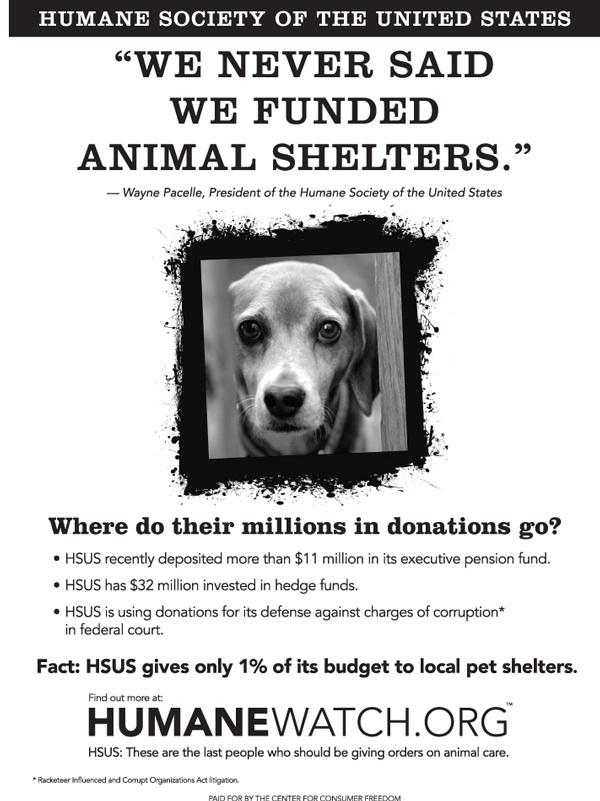 KatharineDokken's tweet photo. Lawyers, Lobbyists, & Hedge Funds. Little money goes to animals. #HSUSscam #HSUSsucks #OperationWildfire @RTDNEWS http://t.co/138TXKpMdV