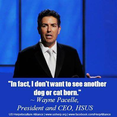KatharineDokken's tweet photo. #OperationWildfire Don't be fooled by Wayne "No More Dogs" Pacelle. #HSUSscam #HSUSSucks @RTDNEWS @MarkWarner http://t.co/m44qx2Lic5