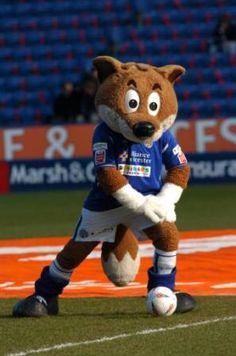 Alylept's tweet photo. LEICESTERRRRR! Up the foxes!!!! http://t.co/T0l0cCDV5r