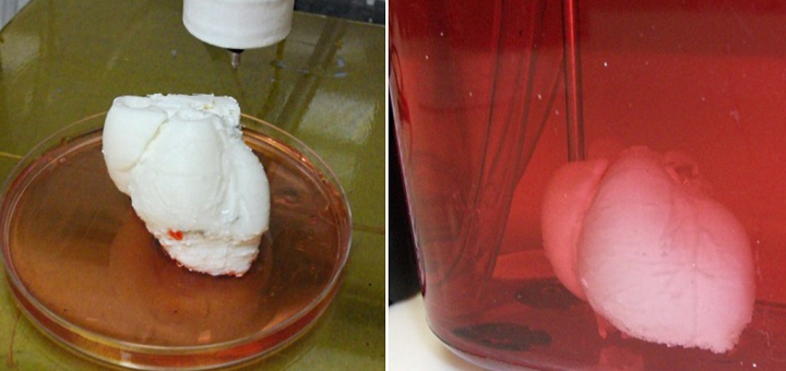 My3DPrinting's tweet photo. Novel Material ‘Celleron’ Could Revolutionize 3D Bioprinting for Regenerative Medicine - http://t.co/QSY0v7IuEx http://t.co/sUvxMlY4bT