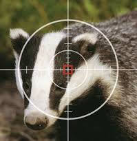 lawyers4animals's tweet photo. Tory Britain - a not so green and pleasant land. http://t.co/fkbsaYtc7w