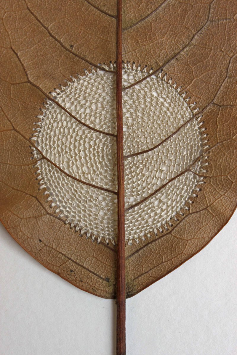 CraftsCouncilUK's tweet photo. The Select Festival starts today in Stroud http://t.co/JQH70oQAe3 @StroudIntText http://t.co/NqM3itsReP