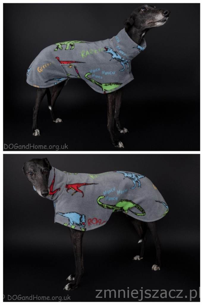 dogandhome's tweet photo. http://t.co/XJxhz6l4z0 http://t.co/sJ8uWpjIur