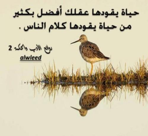Rana (@nalshehri45552) on Twitter photo 